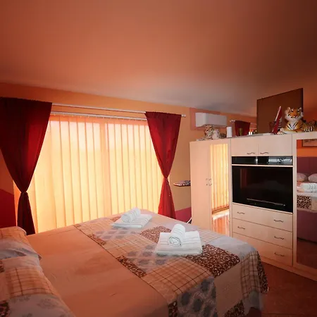 Vali Apartament *
